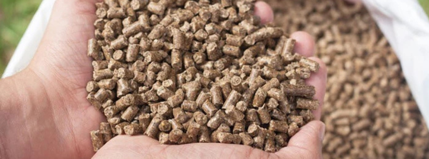 cattle-feed