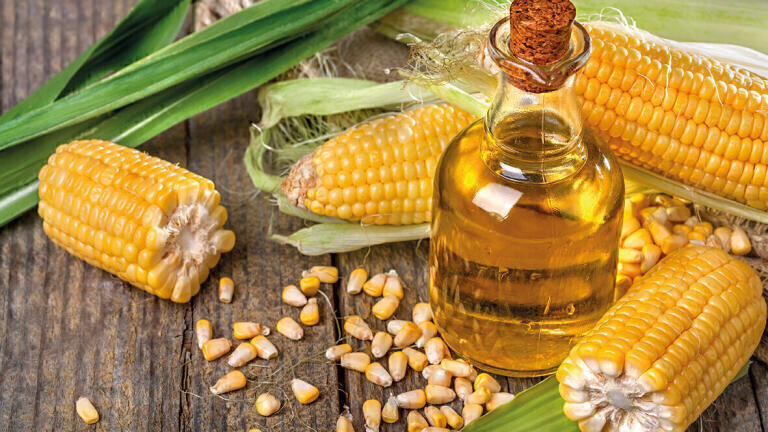 corn-oil-dco