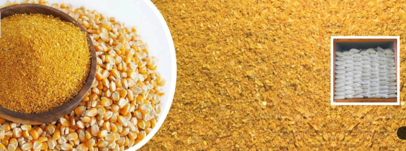 maize-ddgs